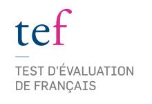 Notre zone d'activité pour ce service Cours en visio pour étrangers pour de préparer le DELF niveau B1 avec la délivrance d'un certificat officiel à